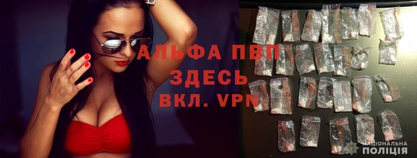 каннабис Гусь-Хрустальный