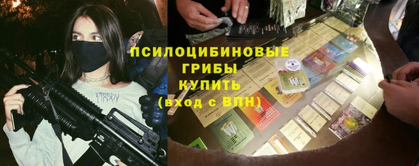 PSILOCYBIN Аша