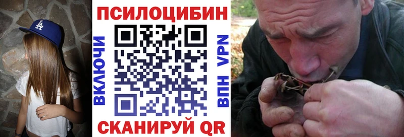 hydra   Миньяр  Псилоцибиновые грибы Psilocybine cubensis 